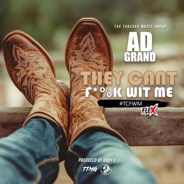 Cover art for They Cant Fuck Wit Me